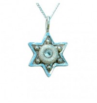 Shiny Small Star of David Necklace